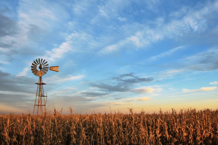 Hall and Hall: Dedicated to Land and Landowners Since 1946